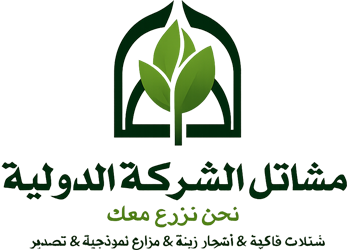 Mango El Dawlia - مشاتل الشركة الدولية